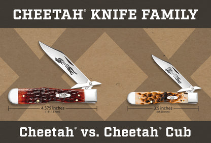 Size comparison between Cheetah and Cheetah Cub shown with blade partially open.
