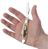 Peach Seed Jig Amber Bone CS Medium Stockman with Spey blade Knife in Hand