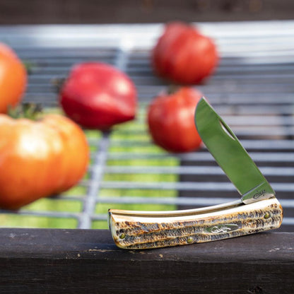 Case 6.5 BoneStag Sod Buster® Jr Knife with Tomatoes in Background