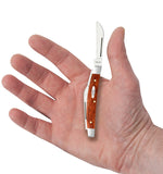 Smooth Chestnut Bone Small Congress Knife in Hand