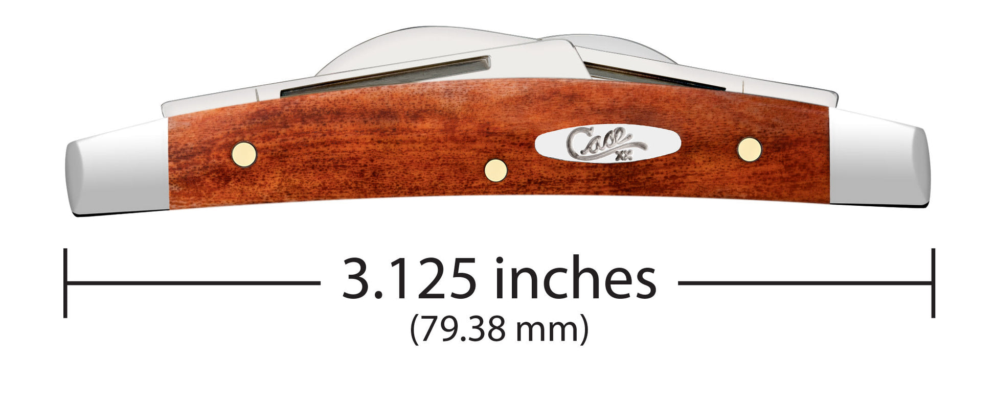 Smooth Chestnut Bone Small Congress Knife Dimensions