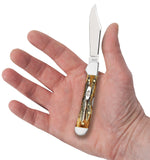Jigged Case 6.5 BoneStag® Mini CopperLock® Knife in Hand